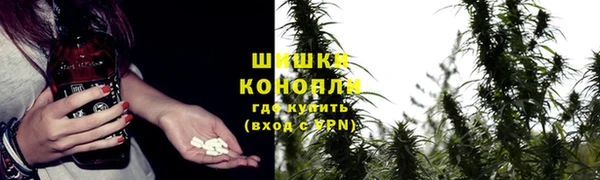 дмт Балабаново