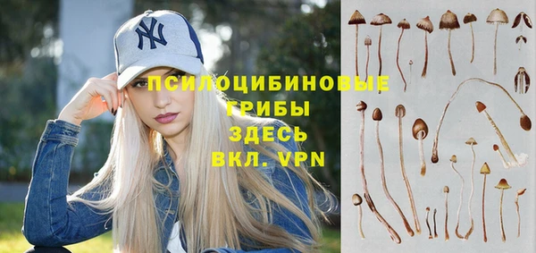 мет Балахна